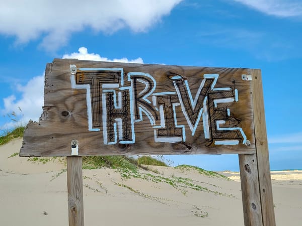 Developer Thriving: Four Sociocognitive Factors That Create Resilient Productivity on Software Teams (Paper Jam)