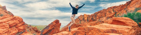 Self-determination Theory: Understanding Human Motivation for Fun and Profit